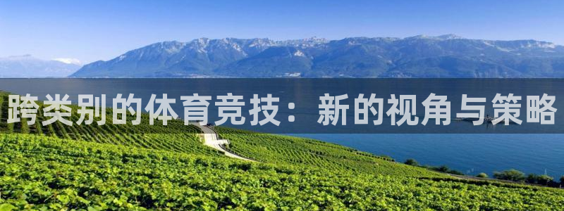 米兰体育网站