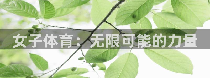 米兰体育平台