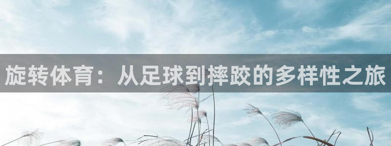 米兰体育app