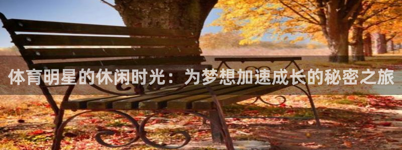 米兰体育官网入口