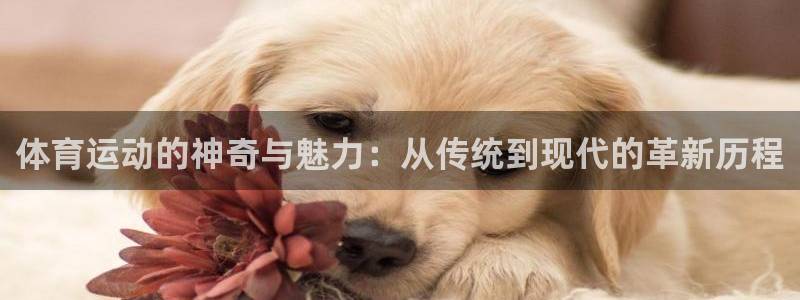 米兰体育中心